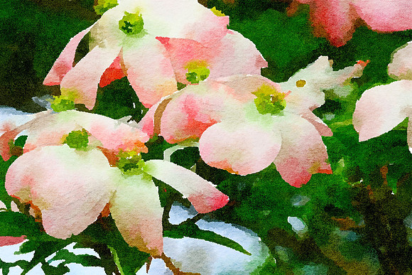 Waterlogue - Copy (2)