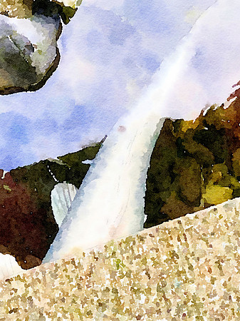 White Koi (2)
