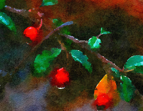 Berry Drops