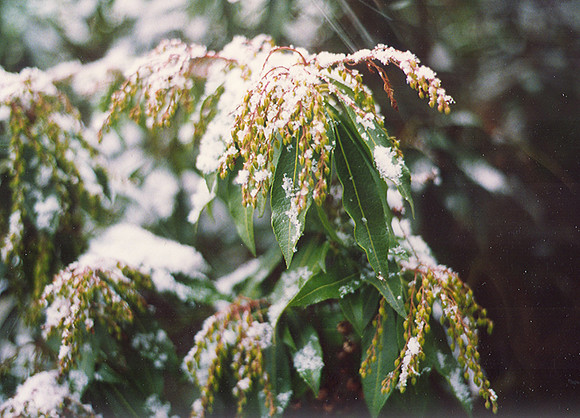 Winter's Edge