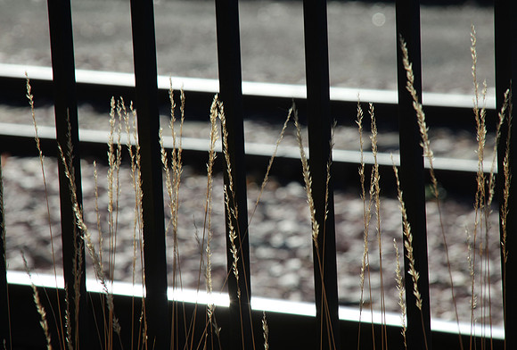 At the Tracks