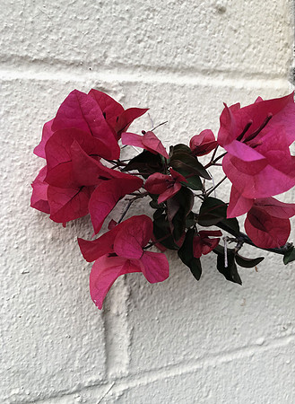 Bougie on the Wall