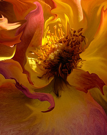 New Interpretation of Susan's Rose