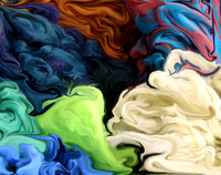 Dyed in the Wool