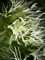 Abstract