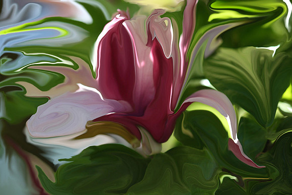 Molten Magnolia