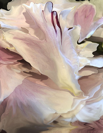 Petal Power