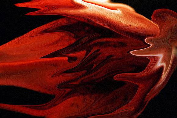 Squid Lily
