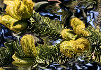 Growing Pains