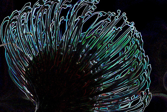 Sea Creature