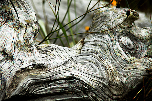 Nature is the Abstract