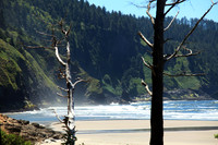 A Little Fog, A Little Beach