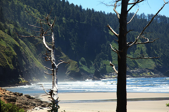 A Little Fog, A Little Beach
