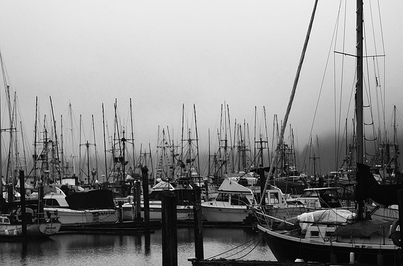 Foggy Harbor II