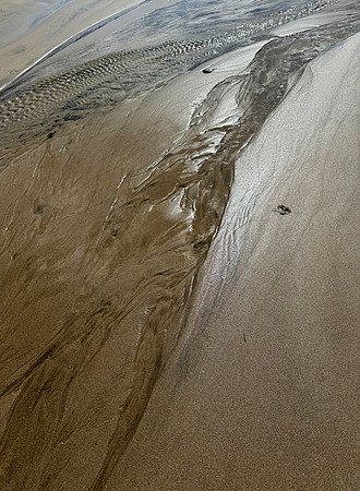 Dancing in the Sand