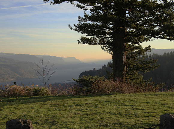 Gorge-land