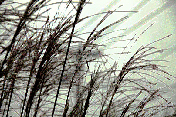 Gorge Grasses paint daubs