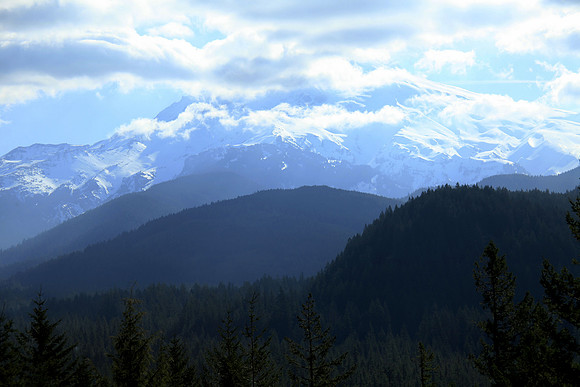 Hood from Lolo Pass