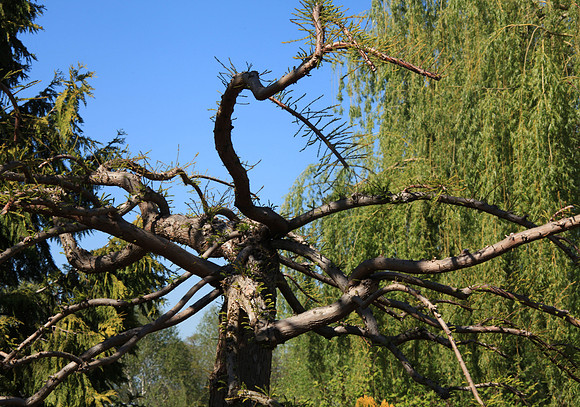 Groovin