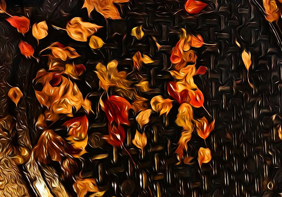 Leaves in Rain