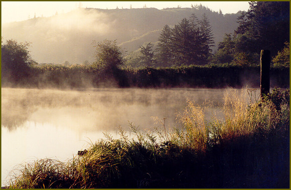 Misty Memories