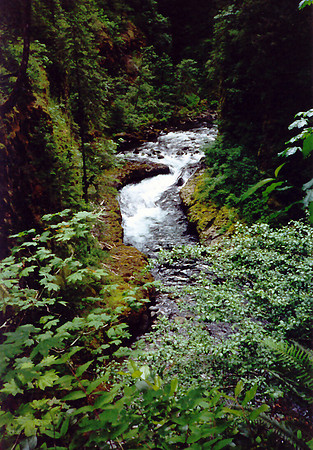 Lush Oregon