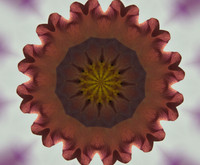 Cocoa Kaleidescope