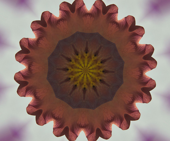 Cocoa Kaleidescope