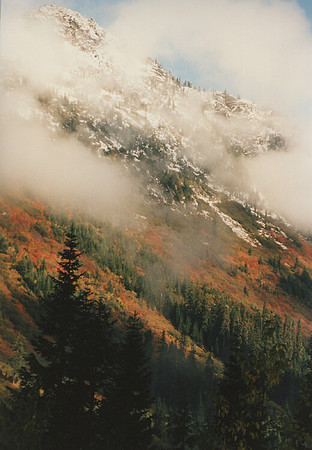 Fall in Idaho
