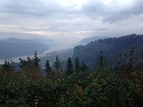 Foggy Gorge