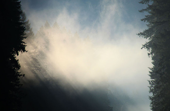 Stray Rays