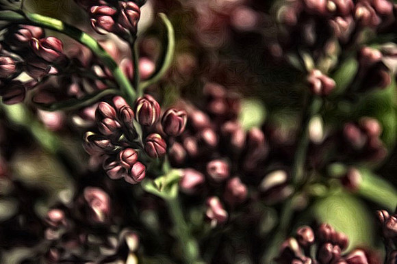 Lilac_painting