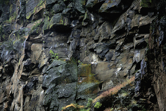 Rock Wall