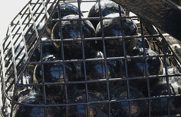 Cannon Balls