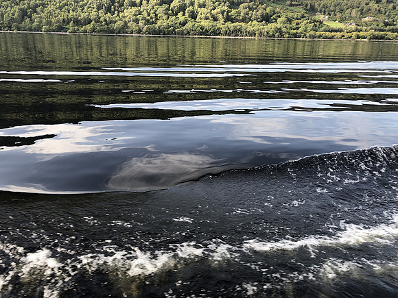 Reflections