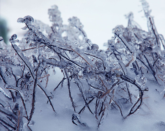 Blue Ice