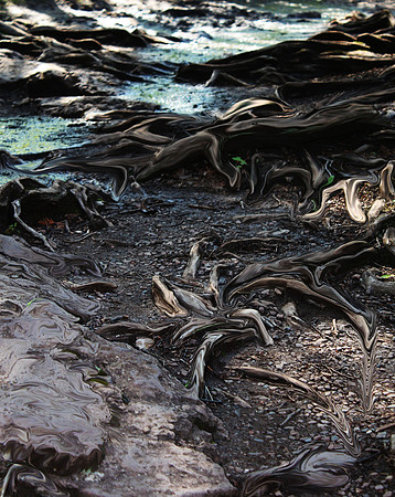 Root Bound