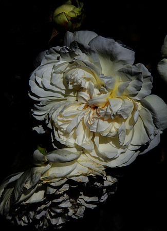 At Night