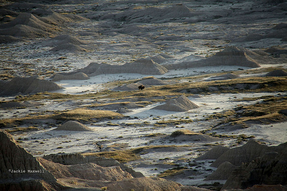 A Lonely Place copy