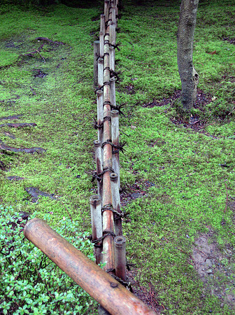 Fence to the Garden