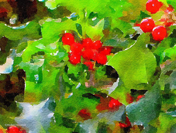 Berries  (1)