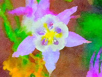Columbine