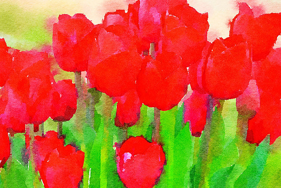We Have Red (1)