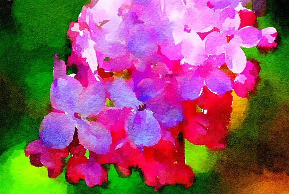 Lilac