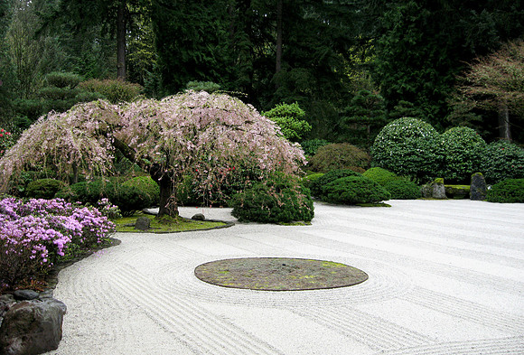 Spring in the Garden