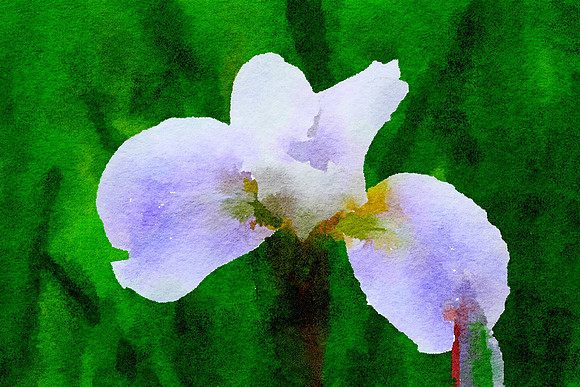 Waterlogue - Copy (6)