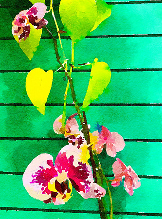 Wall Hanging
