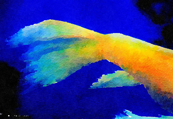 Fish Tales