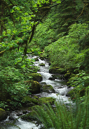 Green on Green on Green