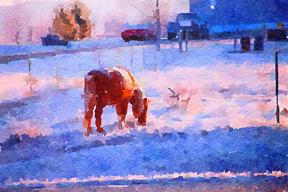 Winter in ND